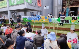 合肥人，合肥人试考试网 -官网