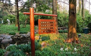 免费游玩灵隐寺攻略，免费游玩灵隐寺攻略大全