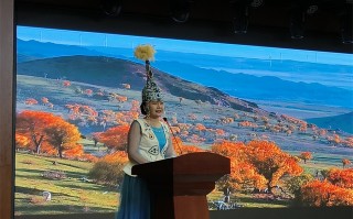 额敏游玩攻略，额敏旅游景点有哪些